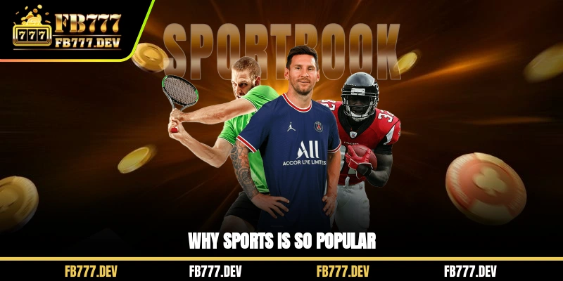 Why Sports is so popular